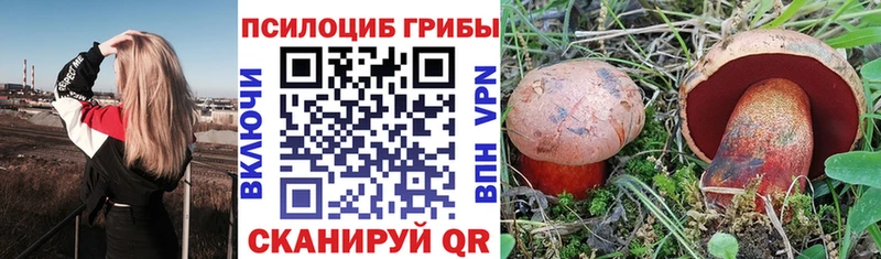 Галлюциногенные грибы прущие грибы  Хвалынск 